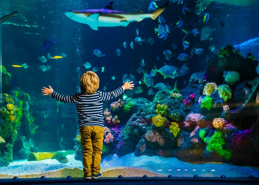 Helsinki: Sea Life Entrance Tickets - Booking tips and a quick reality check on staff help
