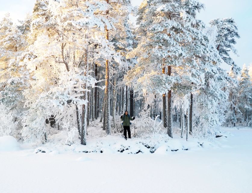 Helsinki: Winter Wonderland Liesjärvi National Park Hike - What’s Provided vs What You Must Bring (So You Don’t Get Miserable)