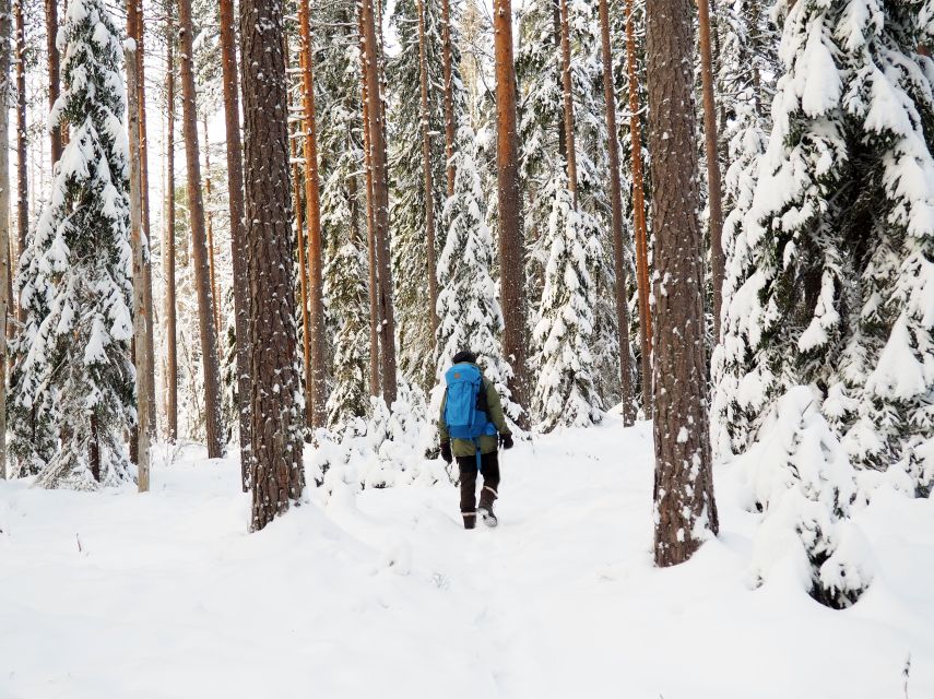 Helsinki: Winter Wonderland Liesjärvi National Park Hike - Sustainability in the Real World: A Tour With a Green Label
