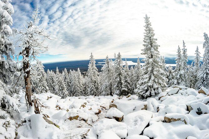 Hike to Frozen Waterfalls of Korouoma Including BBQ Lunch from Rovaniemi - Pace, slippery slopes, and the practical stuff that can make or break it