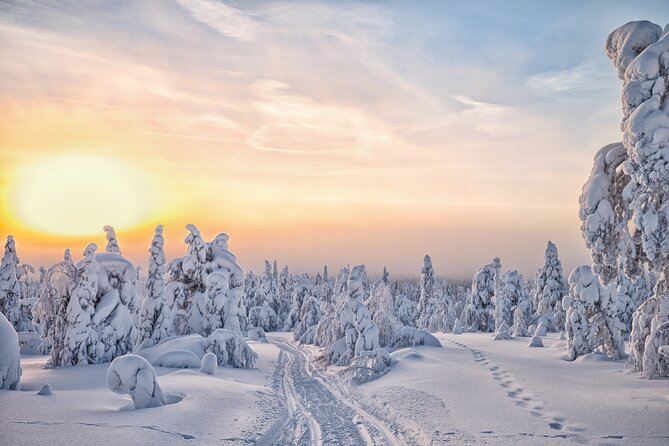 Hike to Frozen Waterfalls of Korouoma Including BBQ Lunch from Rovaniemi - Who should book the Frozen Waterfalls hike from Rovaniemi