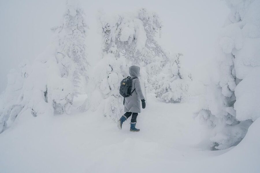 Hiking in Riisitunturi National Park with Photographer - Why Riisitunturi National Park looks like a movie set