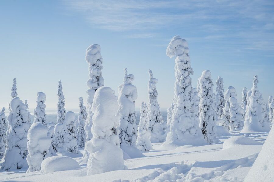 Hiking in Riisitunturi National Park with Photographer - Inside the park: photo stops plus a manageable 5 km hike