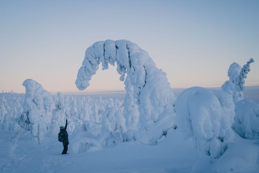 Hiking in Riisitunturi National Park with Photographer - Getting picked up in Rovaniemi and settling into the van