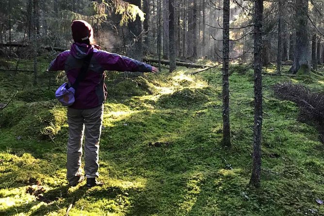 Hiking tour in Nuuksio National Park with meal and snacks - Key Points You’ll Care About