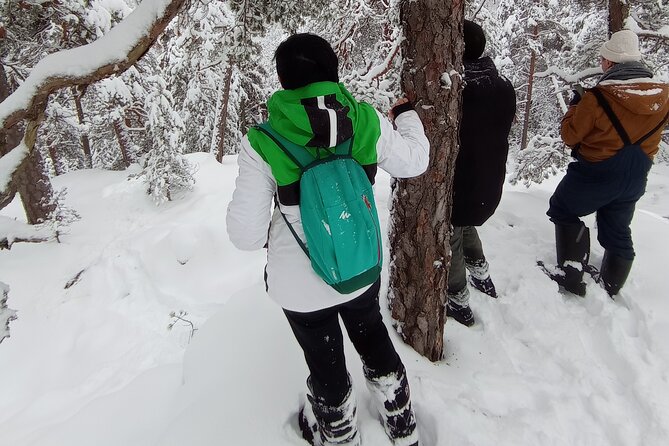 Hiking tour in Nuuksio National Park with meal and snacks - The Food and Snacks: Glögi, Soup, Bread, Biscuits
