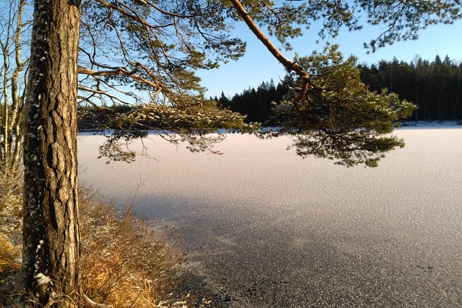 Hiking tour in Nuuksio National Park with meal and snacks - Why the Group Size of Eight Changes Everything