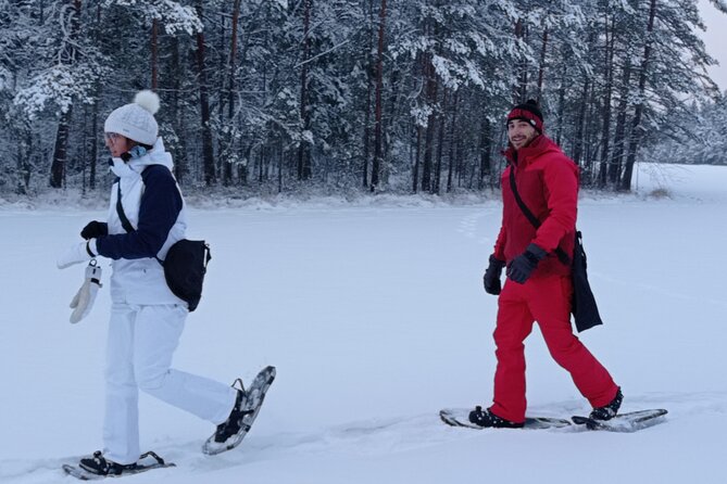 Hiking tour in Nuuksio National Park with meal and snacks - Seasonal Surprise: Wet Bog Trail vs. Frozen Lake Day