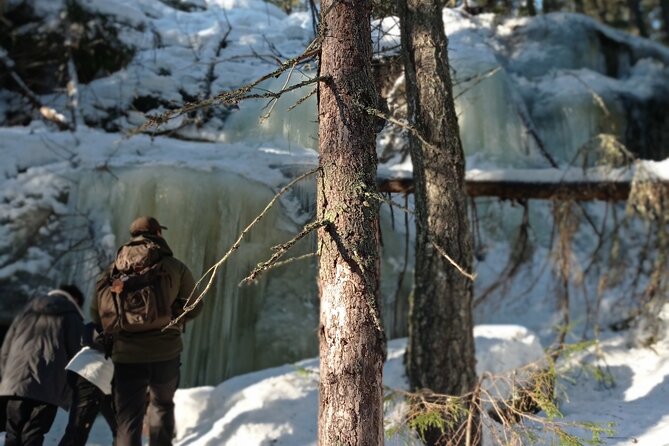 Hiking tour in Nuuksio National Park with meal and snacks - Clothing and Footwear That Keep the Day Comfortable