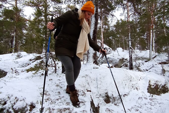 Hiking tour in Nuuksio National Park with meal and snacks - Price and Value: About $113 for a Fully Booked Half Day