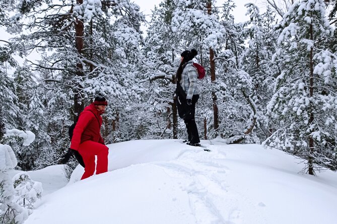 Hiking tour in Nuuksio National Park with meal and snacks - The Guided Hike Through Finnish Forest Terrain