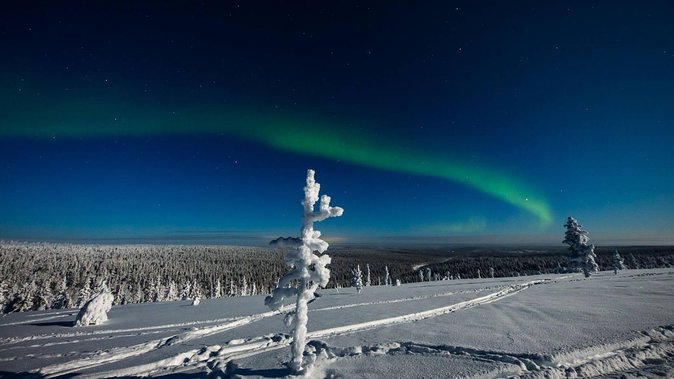 Hunting Northern Lights with Husky - Northern Lights hunting: what you get, and why you must stay realistic