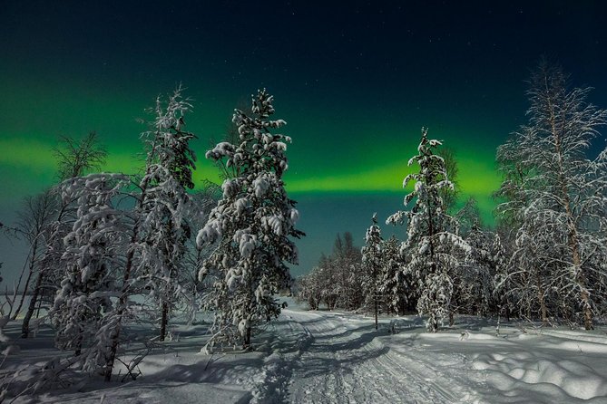 Hunting Northern Lights with Husky - Group comfort and pacing: why some nights feel rushed