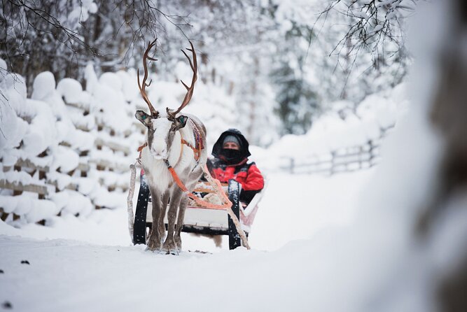 Husky and Reindeer Experience - Reindeer, huskies, and Santa, all in one tight Lapland loop