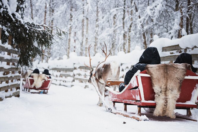 Husky and Reindeer Experience - Weather tips that keep the day enjoyable