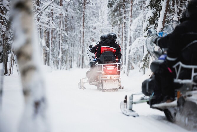 Husky and Reindeer Experience With Snowmobiling - Key Highlights to Know Before You Go