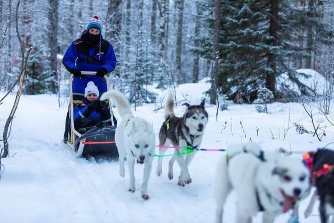 Husky safari - Meeting at Honkamaantie 32 and the 10:00 am start that matters