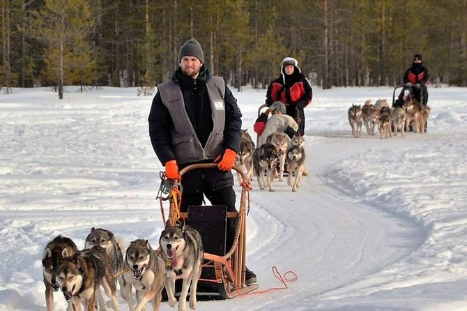 Husky Safari from Levi 2 KM or 5 KM with Husky Sledge Ride - Who should book this Levi husky safari, and who might not
