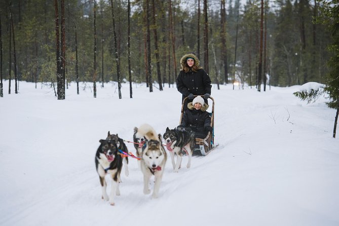 Husky Safari from Rovaniemi Including a Husky Sled Ride - Husky Safari From Rovaniemi: What You Really Get in 2 Hours