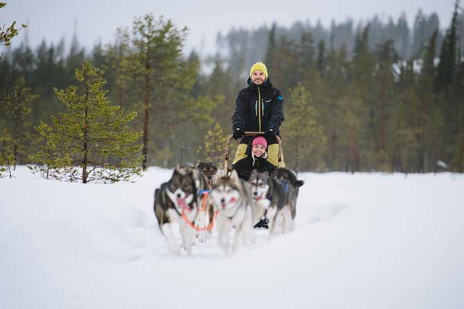 Husky Sledding Self-driving in Rovaniemi - What makes self-driving husky sledding different here