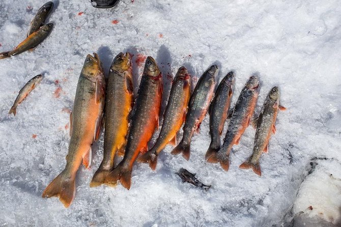 Ice Fishing and Husky - Nordic Unique Travels Pickup and the “No-Math Winter” Factor