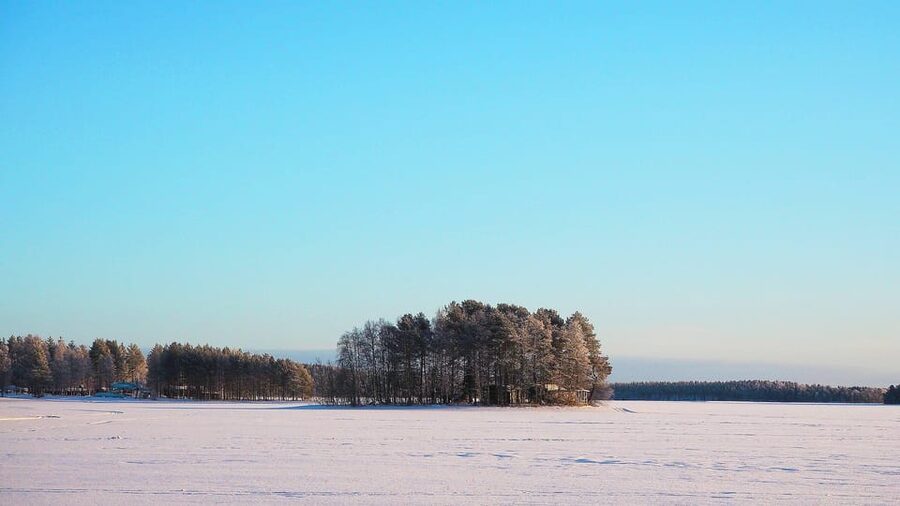 Ice fishing program in Lapland - The Open Fire Break: Birch Woods Warmth and Included Food