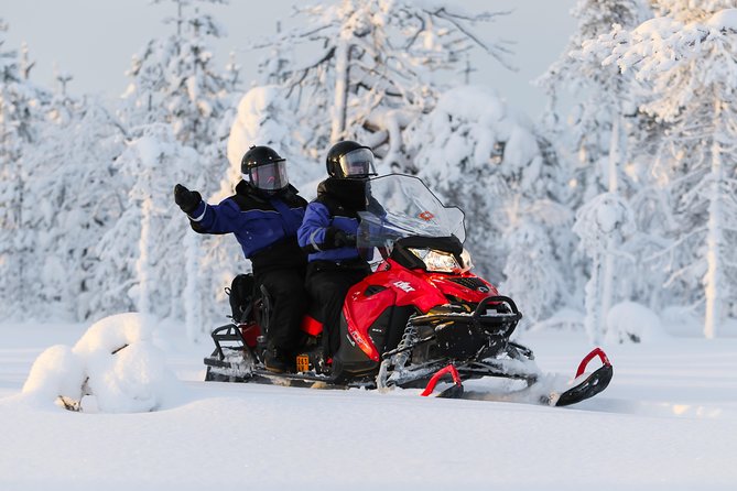 In Pursuit of Reindeer - Snowmobile safari to reindeer farm in Rovaniemi - What You’re Really Buying in Rovaniemi