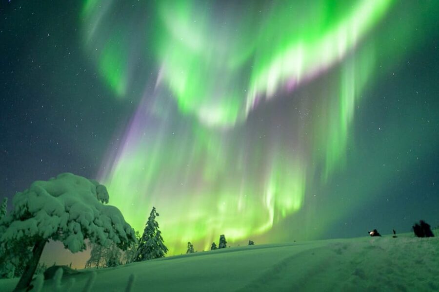 Inari: Northern Lights Hunt Snowmobile Safari - The Five-Hour Format That Keeps the Night Moving