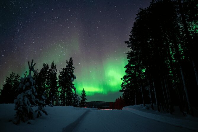Ivalo: Aurora Hunting with Reindeer - Reindeer fence evening near Inari: what the 8:00 PM start really means