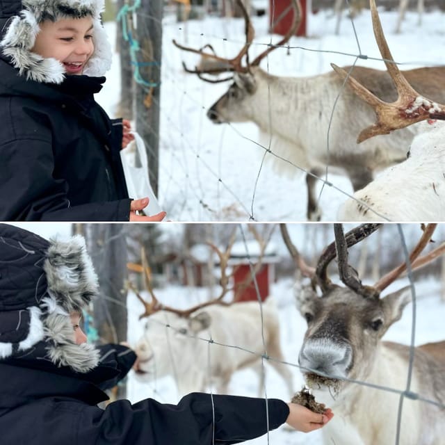Ivalo: Ice Fishing Tour to Lake Inari, Reindeers & Lunch - Who this tour fits best (and who might prefer something else)