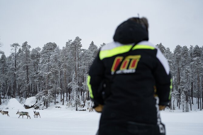 Ivalo: Reindeer herd and fishing experience - The snowmobile ride to the herd: what it’s really for