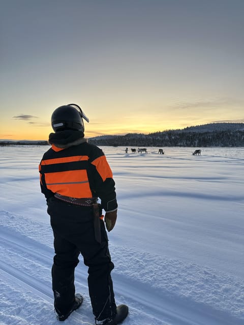 Ivalo: Snowmobile Safari, Meet and Feed Reindeers with Lunch - Shared snowmobiles, odd numbers, and how swapping works