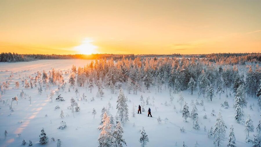 Kemi-Tornio: Nature tour with snowshoes - Key things you’ll notice on this snowshoe tour