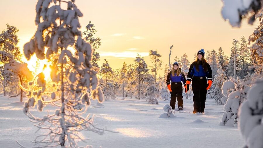 Kemi-Tornio: Nature tour with snowshoes - On snowshoes through the wilderness, how the trek actually feels