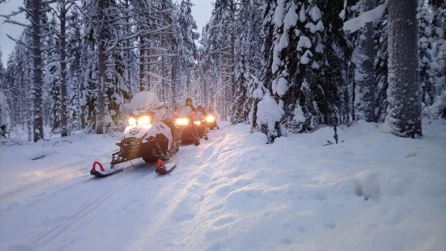 Kemi-Tornio: Snowmobile Forest Safari w/ Hot Drink & Snacks - From Kemi’s Safari House to the Frozen Bothnian Bay