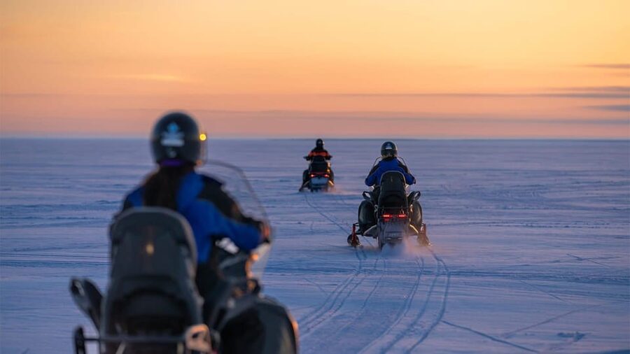 Kemi-Tornio: Snowmobile Forest Safari w/ Hot Drink & Snacks - How the Snowmobile Experience Works (Shared Bike, Real Turns)