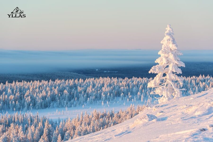 King of Ylläs: Snowmobiling to the Hill - King of Ylläs, Ylläsjärvi: Why This Hilltop Ride Feels Special