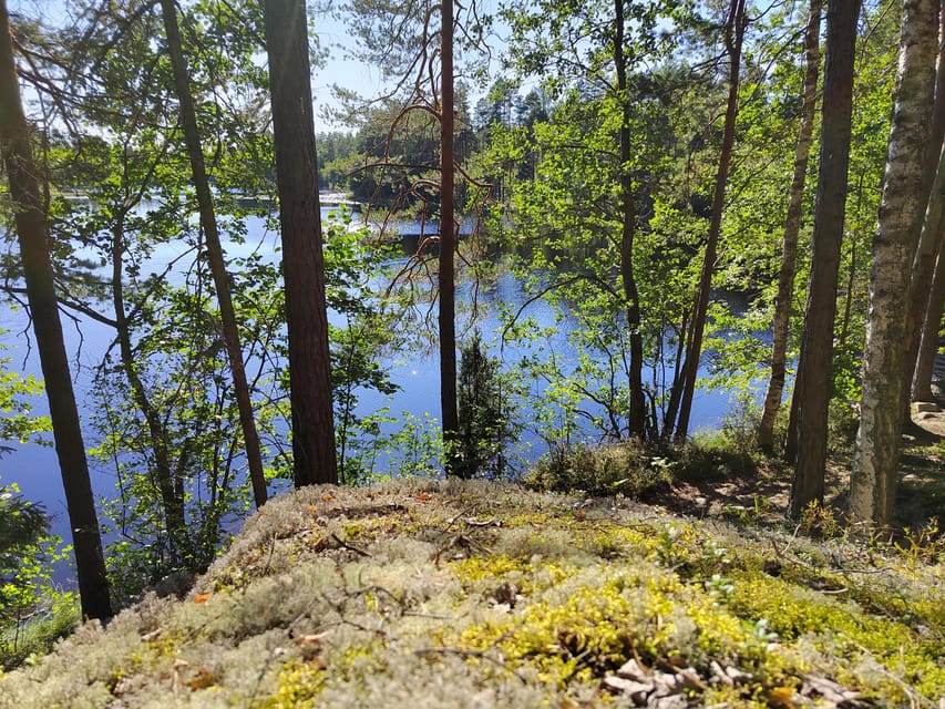 Kintulammi Nature Experience (Nature reserve near Tampere) - The first stop, just 300 meters from the car park