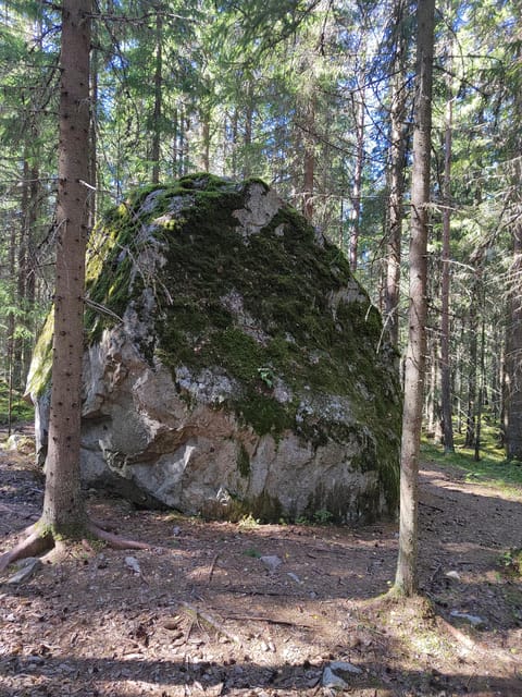Kintulammi Nature Experience (Nature reserve near Tampere) - Kota lunch: fire cooking, tea and coffee, and how forest fire warnings change things