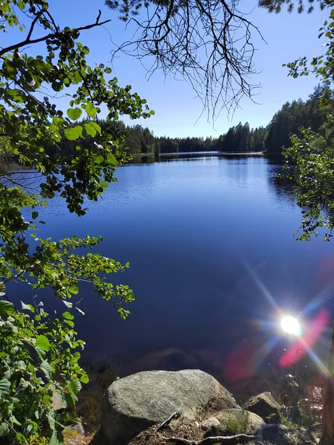 Kintulammi Nature Experience (Nature reserve near Tampere) - Patrick’s guide style: plant and forest learning that feels practical