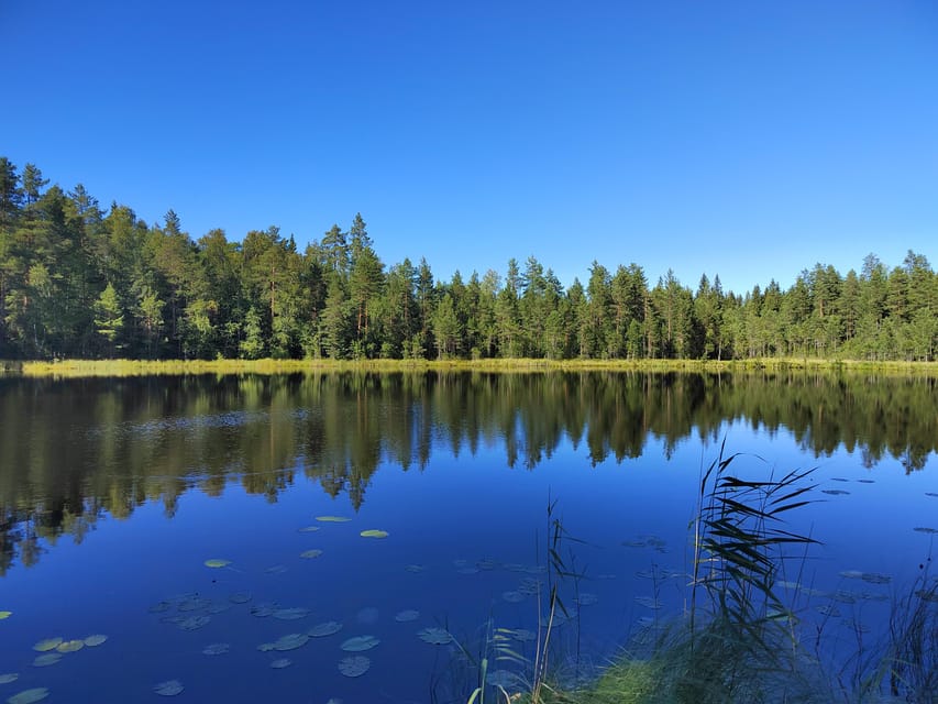 Kintulammi Nature Experience (Nature reserve near Tampere) - Price and value: why $106 makes sense for what’s included