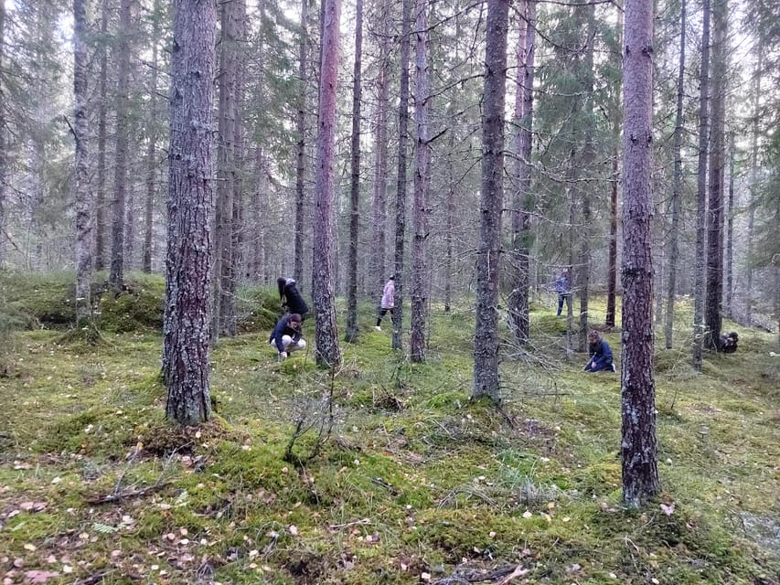 Kintulammi Nature Experience (Nature reserve near Tampere) - Drive to Kintulammi and the everyman’s rights starter lesson
