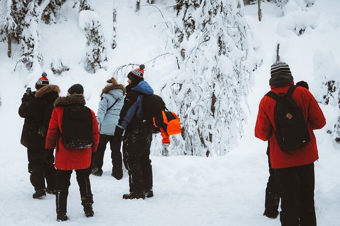 Korouoma Canyon Frozen Waterfalls - Price and value: what $175.43 buys you, and when it might be worth it