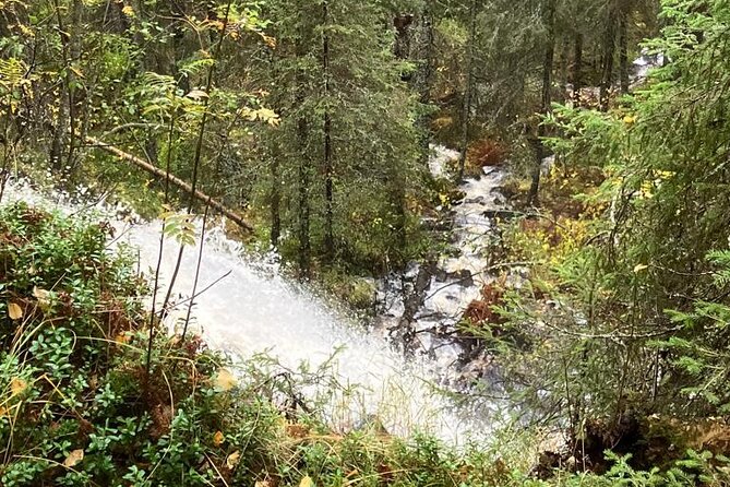 Korouoma Canyon: Frozen Waterfalls Hike & BBQ Experience - Price and value: what you get for $153.79 in winter Finland
