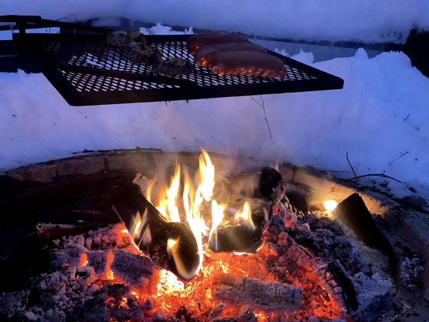 Korouoma Canyon Frozen Waterfalls Hike & Private Teepee BBQ - Who should book, and who should reconsider