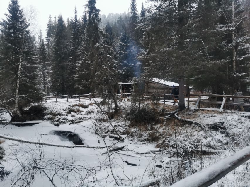 Korouoma Canyon Frozen Waterfalls Hike & Private Teepee BBQ - Korouoma Canyon’s frozen waterfalls are built for winter magic