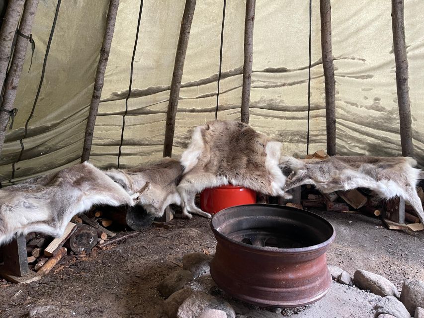Korouoma Canyon Frozen Waterfalls Hike & Private Teepee BBQ - Wildlife spotting in the Arctic: what to do without chasing it