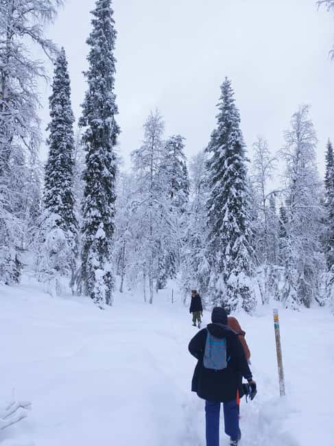 Korouoma Canyon Frozen Waterfalls Hike & Private Teepee BBQ - Rovaniemi pickup and the calm ride to the canyon