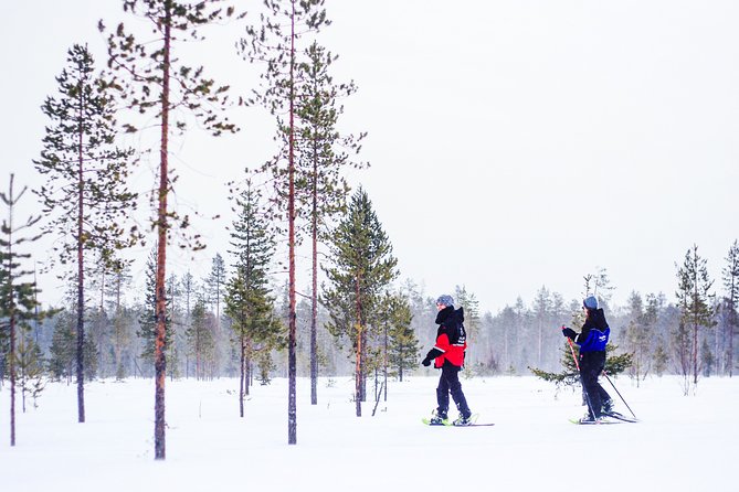 Korouoma Canyon Snowshoe Trip - Key Things You’ll Notice on This Trip