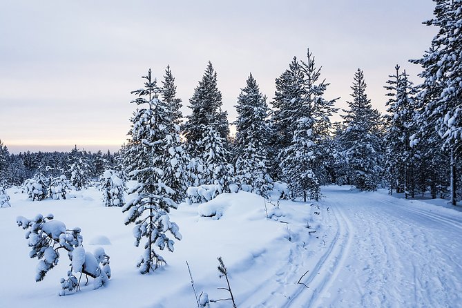 Korouoma Canyon Snowshoe Trip - Who Should Book This Snowshoe Trip (And Who Should Think Twice)